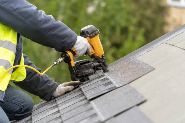 Best Solar Panel Roofing Installation  in Lake Lifornia, CA